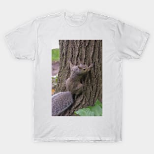 Coming to say hi! T-Shirt